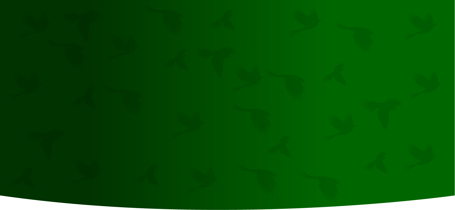 Exemplo de site de criatório